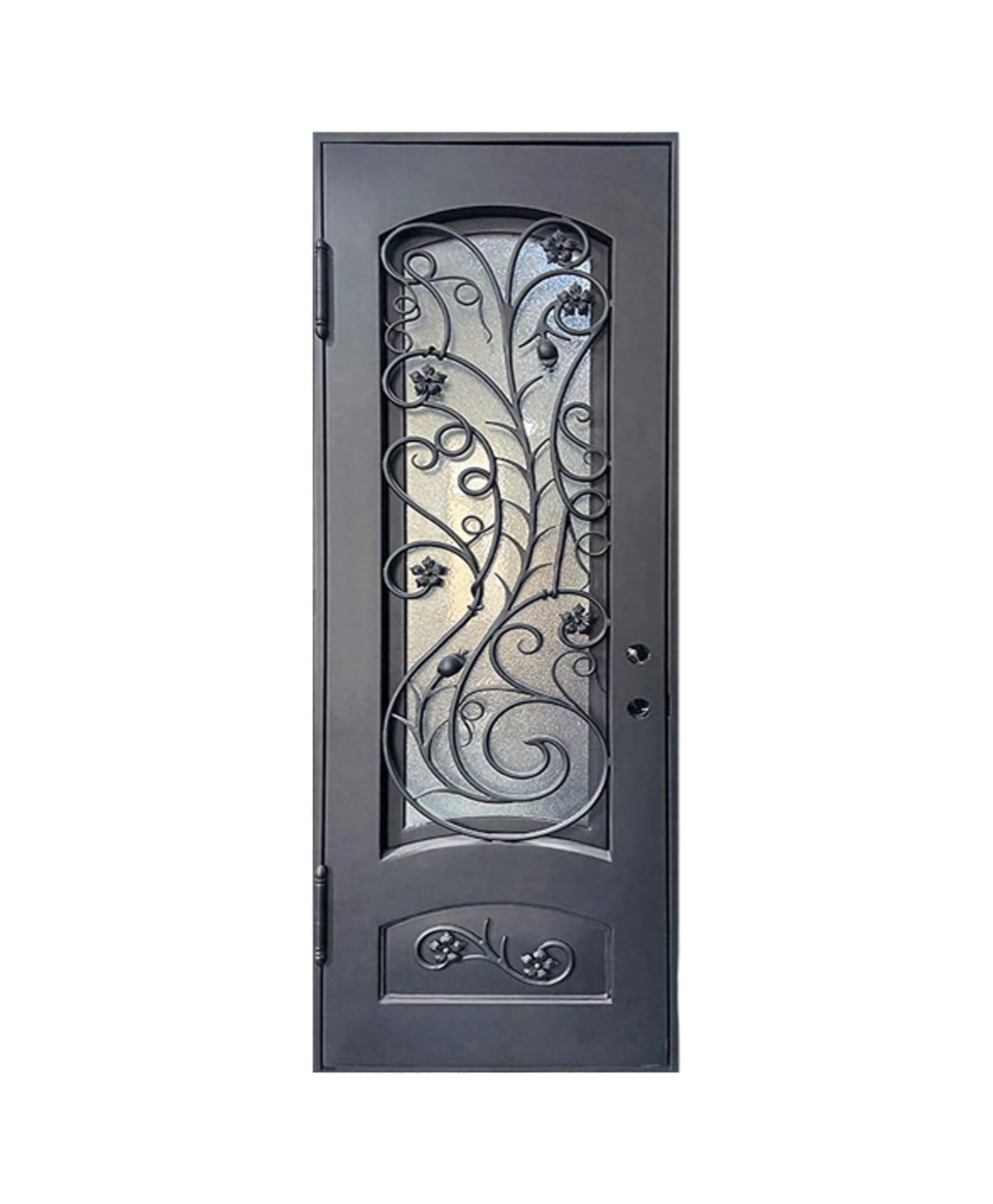 Twisted Vine Iron Single Front Door
