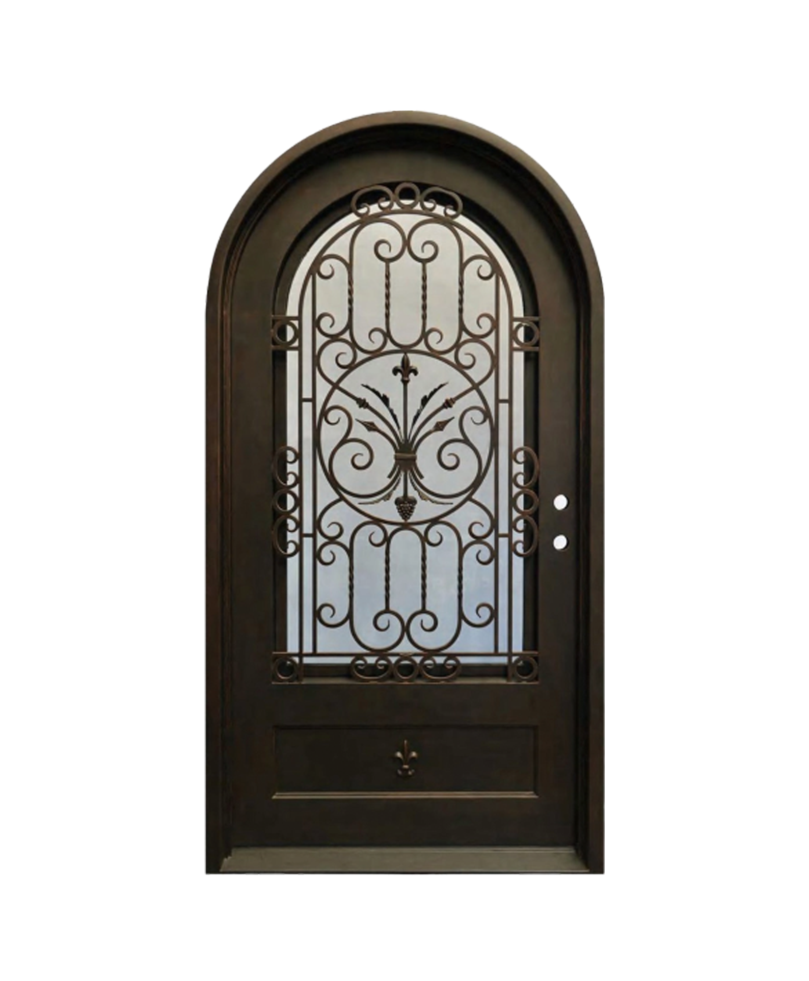 Ivy Crest Arched Iron Single Front Door