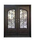 Trellis Iron Double Front Door