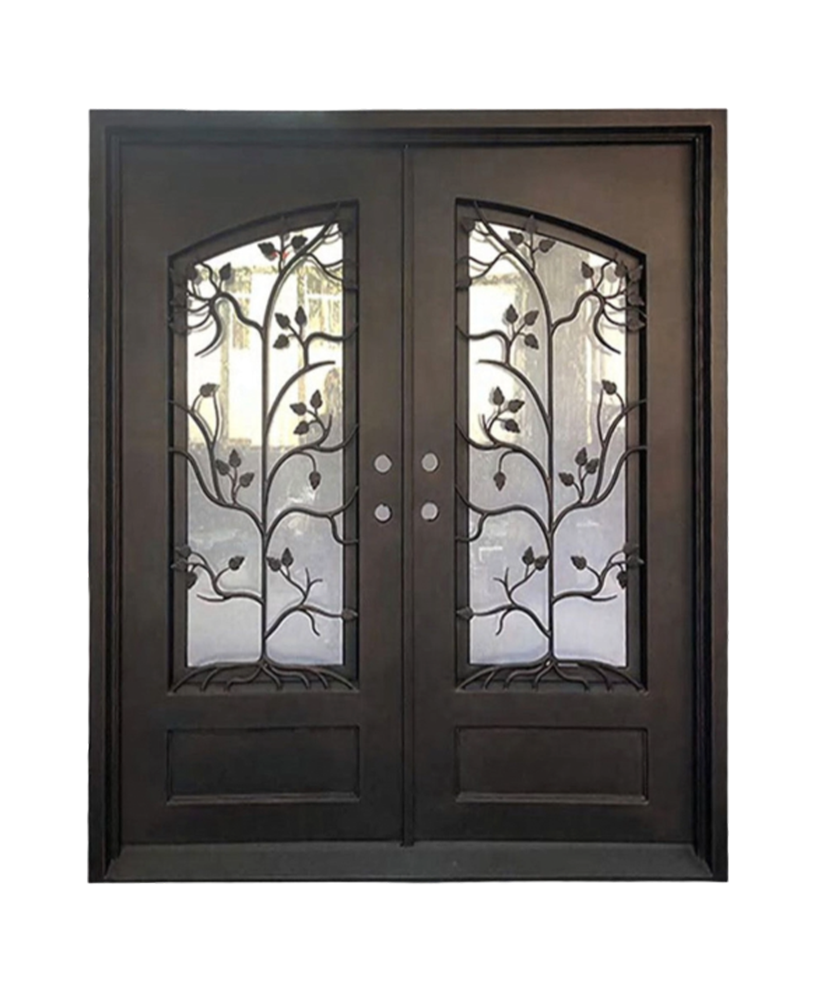 Trellis Iron Double Front Door