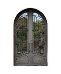 Wisteria Arched Iron Double Front Door