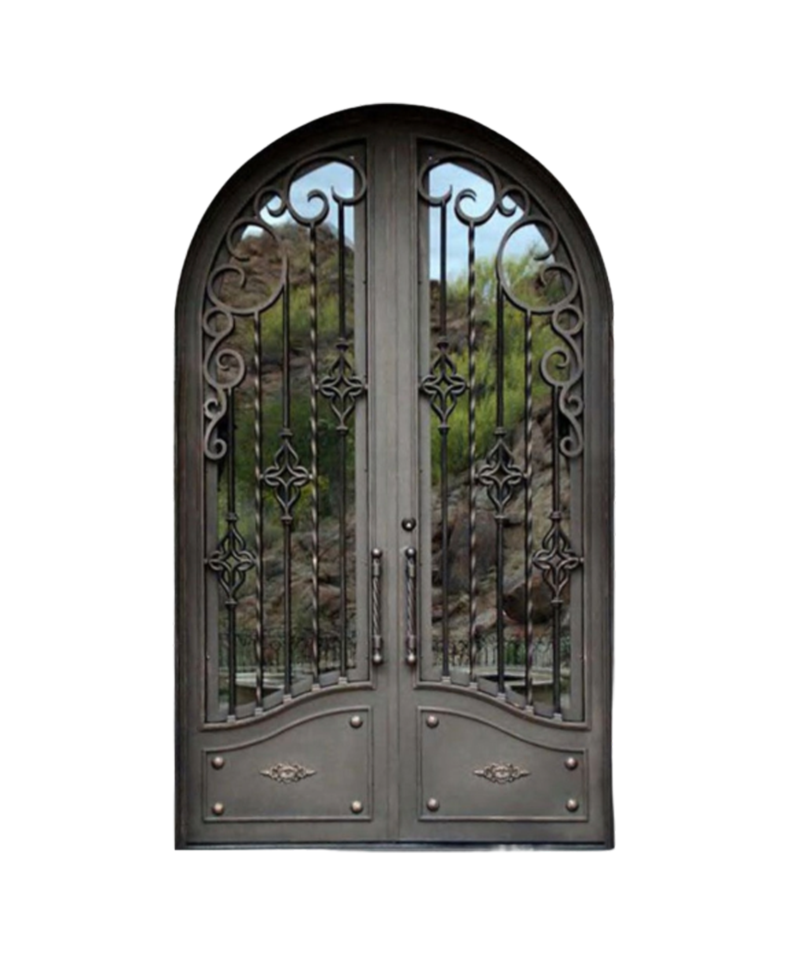 Wisteria Arched Iron Double Front Door